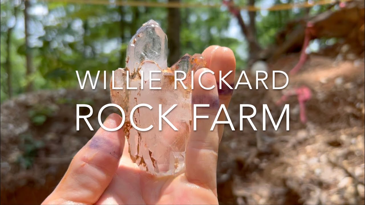 Willie Rickard Rock Farm | A Multifaceted Crystal Collecting Experience