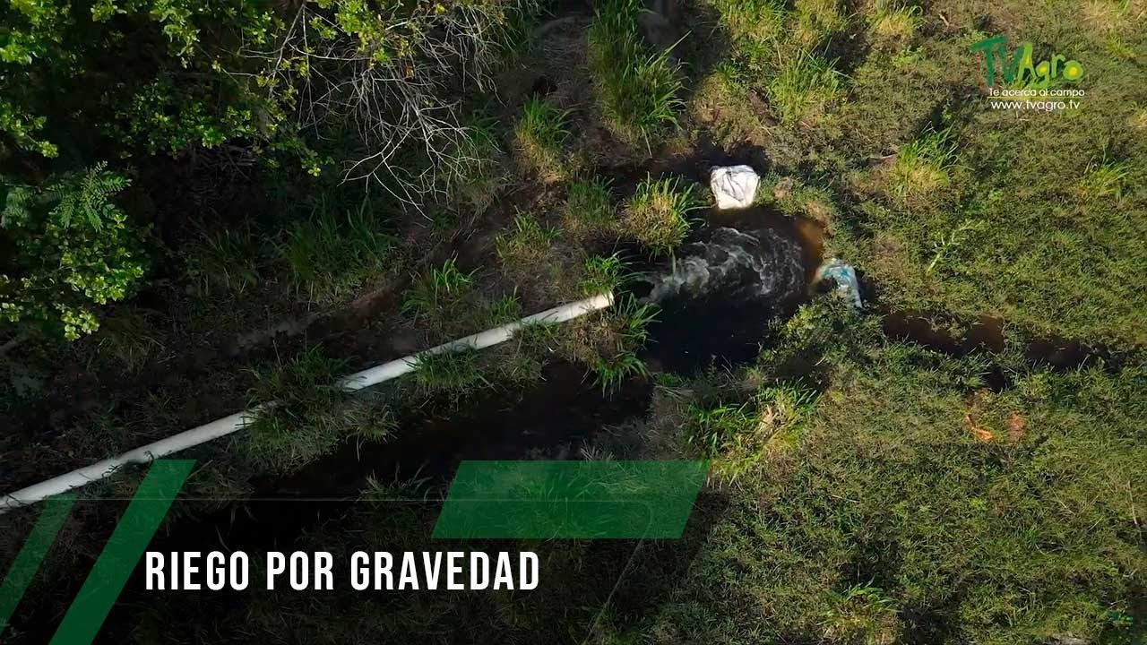 Riego por gravedad - TvAgro por Juan Gonzalo Angel Restrepo