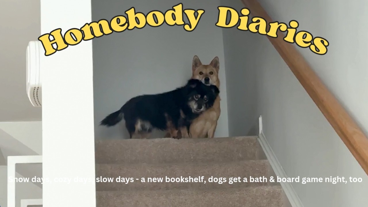 Homebody *dog mom* Diaries
