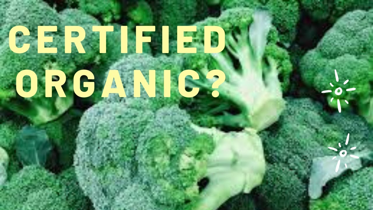 EVERYTHING YOU NEED TO KNOW ABOUT ORGANIC CERTIFICATION