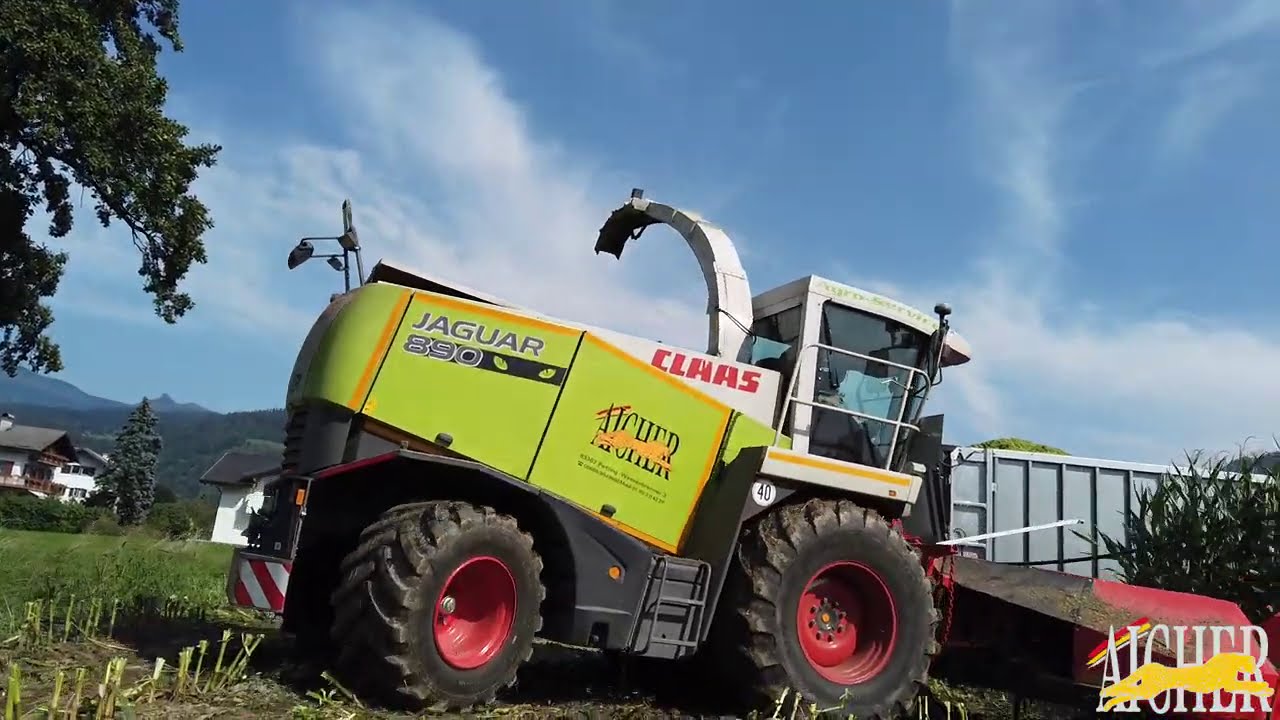 MAISERNTE mit Agroservice Aicher | BGA Kuchl | Claas Jaguar | Steyr CVT, Fliegl, Case 5150, Radlader