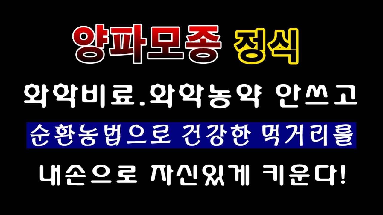 [텃밭농부. 1,272]  유기농 양파재배 및 모종정식에 필요한 중요정보.