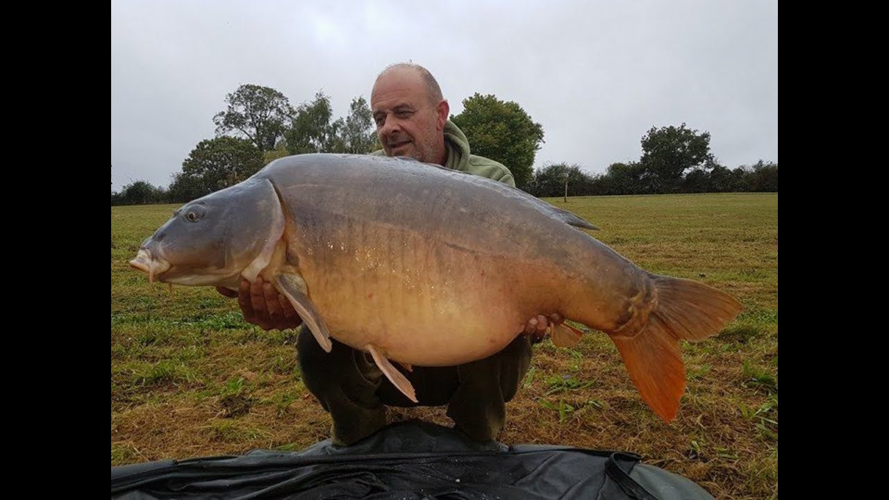Carp fishing in France - September  2017 6 day Road trip, peche à la carpe