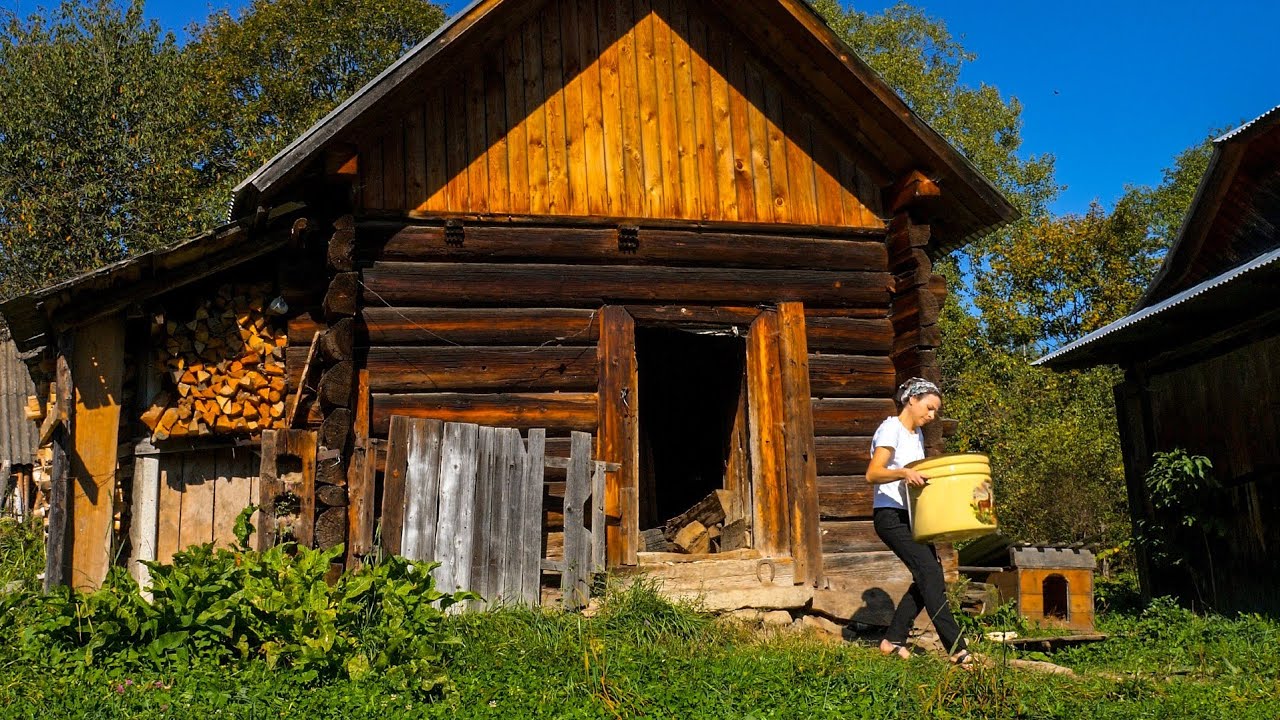Mountain Life: Away from Civilization, They Cook Meat Rolls Like Nowhere Else!