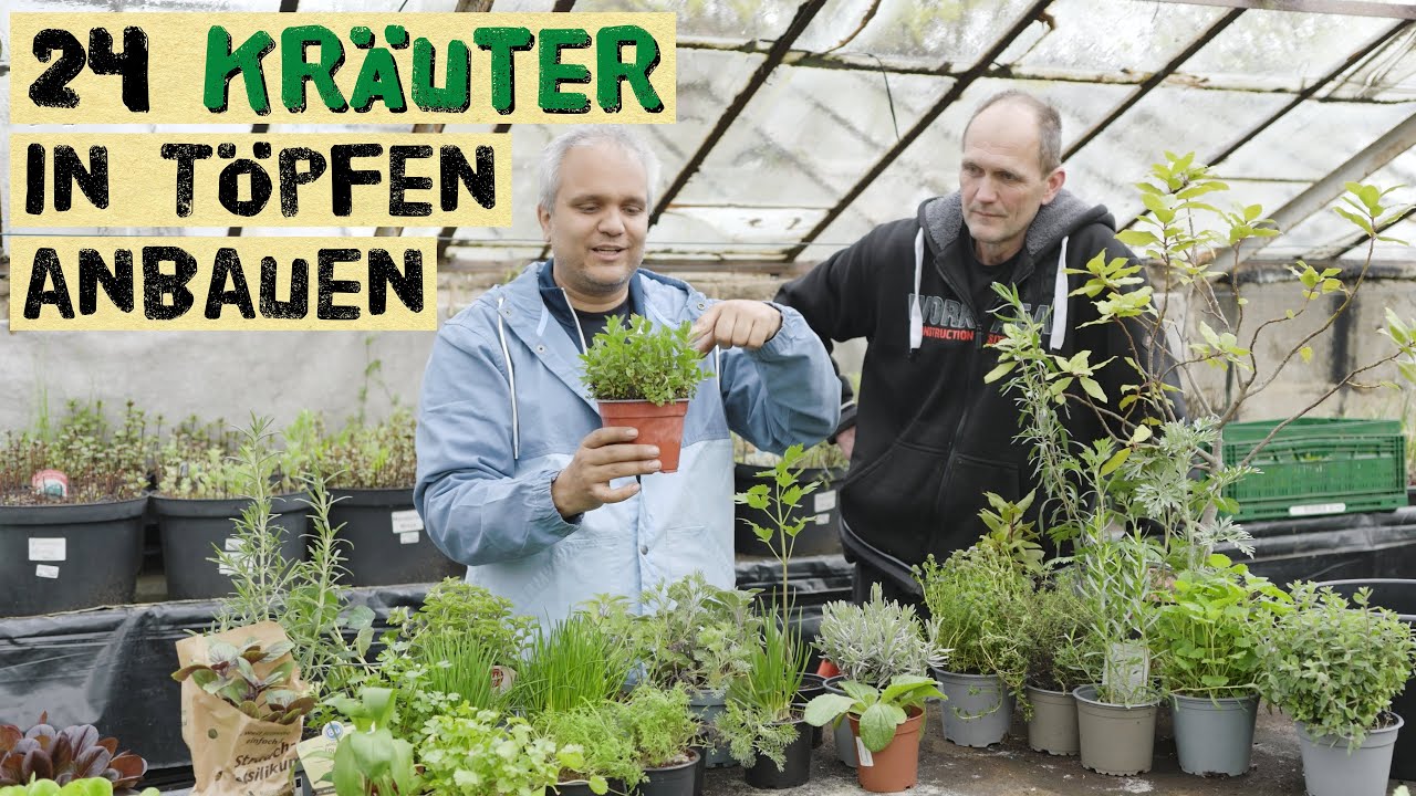 Kräuter in Töpfen anbauen - Selbstversorgung mit Kräutern auf Balkon, Garten und Terrasse