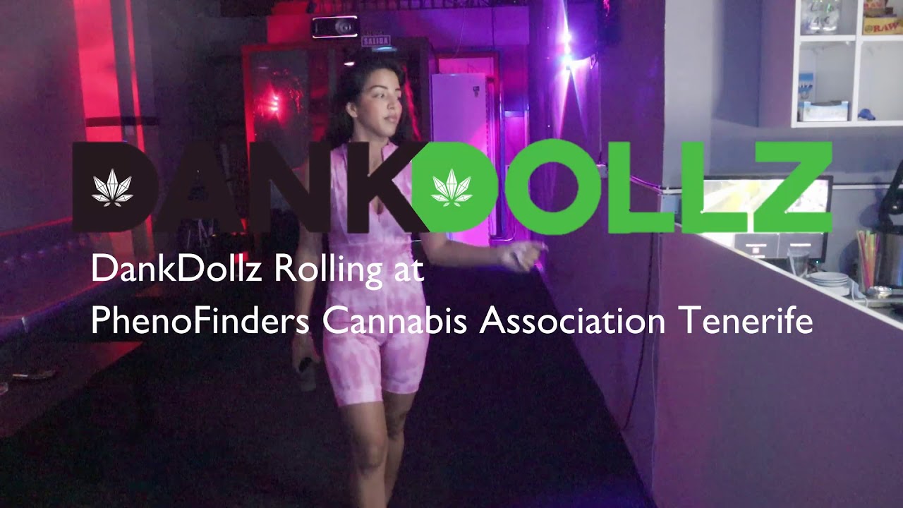 DankDollz Rolling at PhenoFinders Tenerife