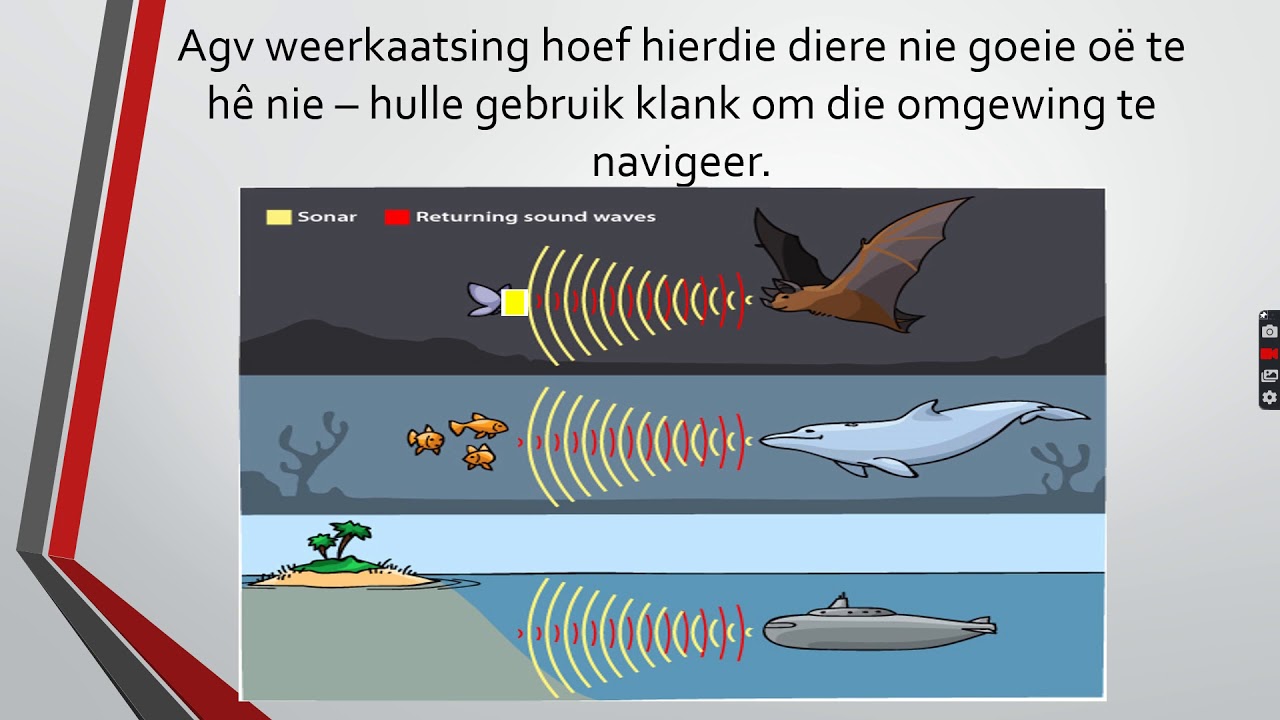 Gr 10 Fisiese Wetenskappe Klank - Janiena Daubert