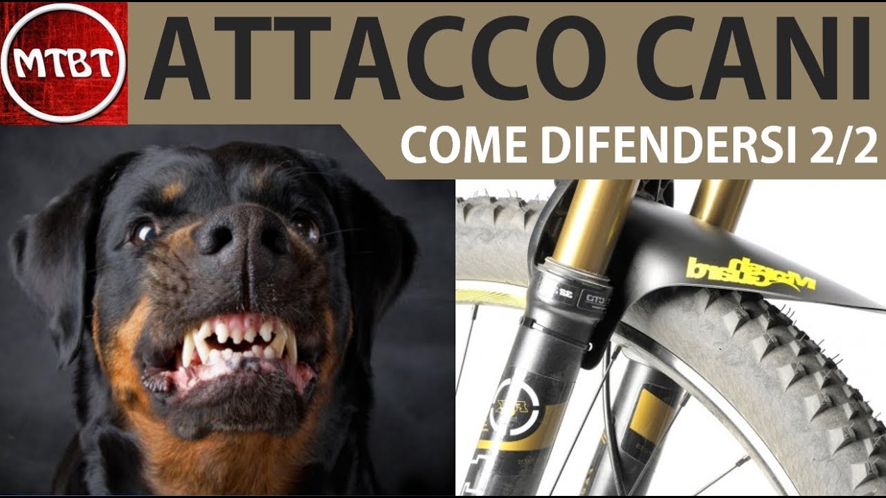 Ciclismo come difendersi dall'attacco di uno o piu' cani tecniche e accessori di difesa 2/2 | MTBT