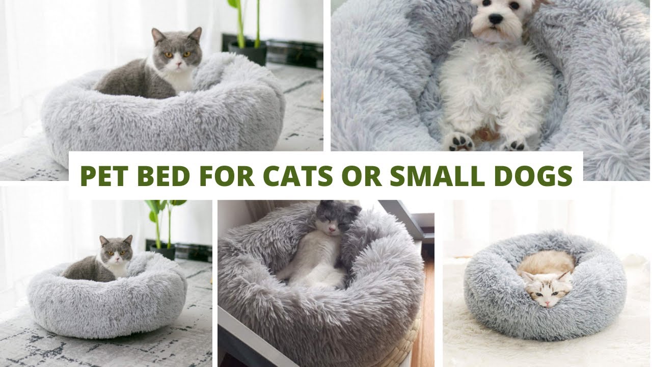 Pet Bed for Cats or Small Dogs