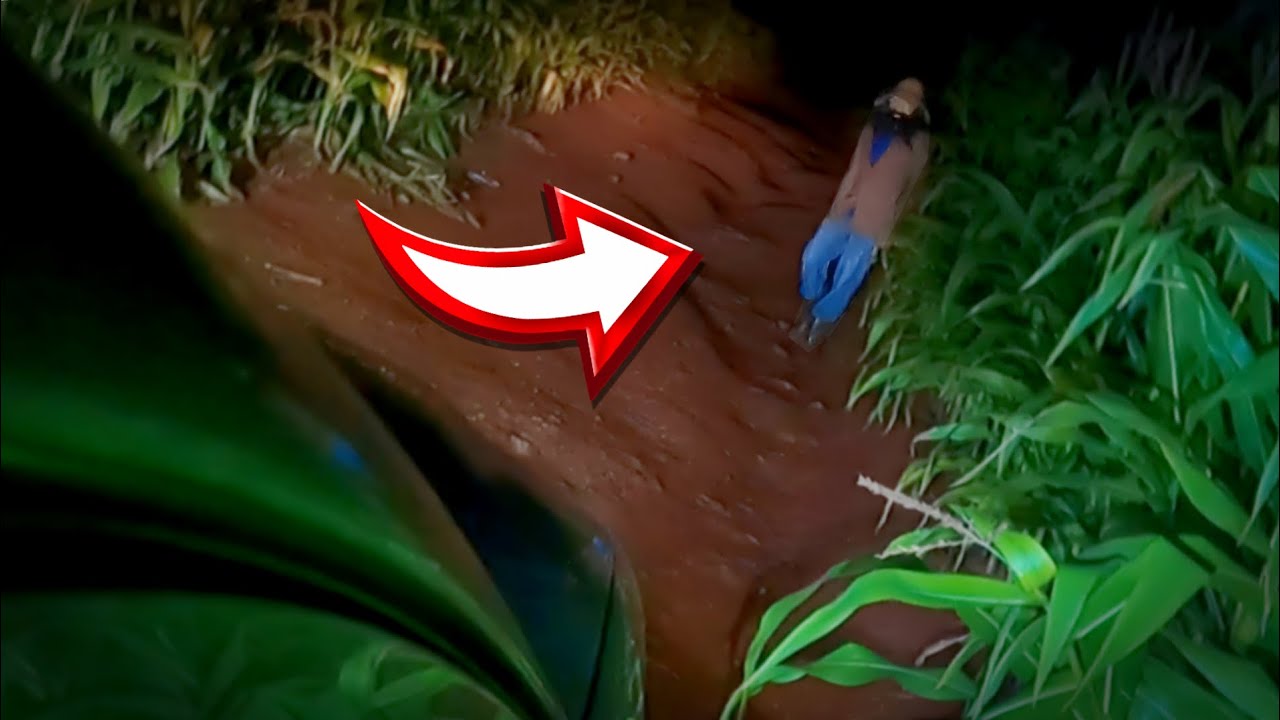 ELE VEIO PRA CIMA DE NÓS E AGRESSIVAMENTE NOS ATACOU