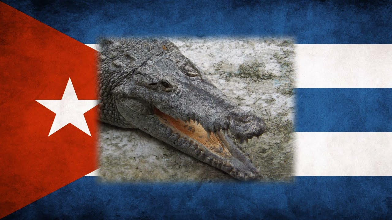 Cubanísimo (The Music of Cuba) - Guajiro Natural