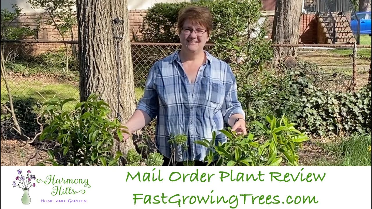 Mail Order Plant Review: FastGrowingTrees.com 🌱🌿🌳🌲