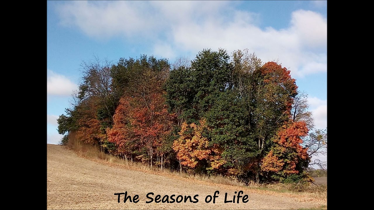 The Seasons of Life