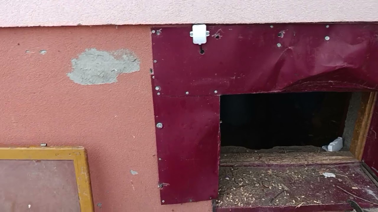 Robię porządk&oacute;w w piwnicy 