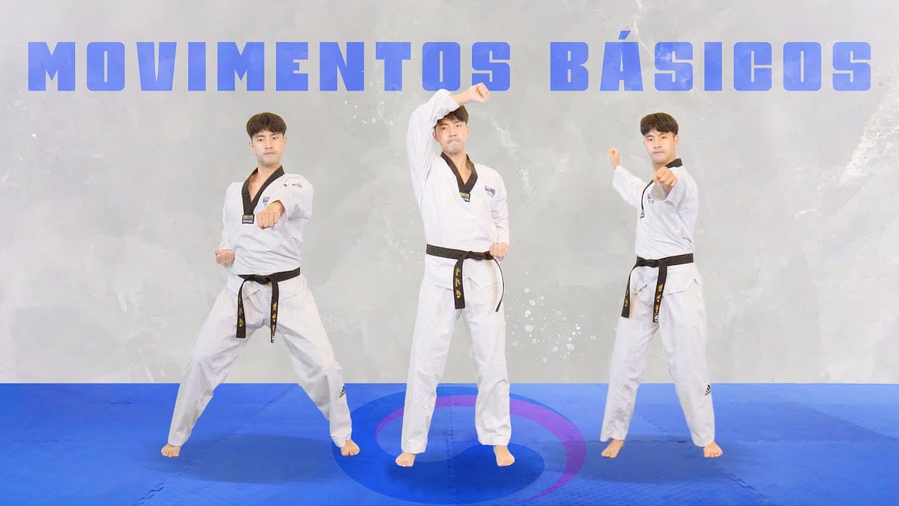 Aula de Taekwondo 6 - MOVIMENTOS BÁSICOS