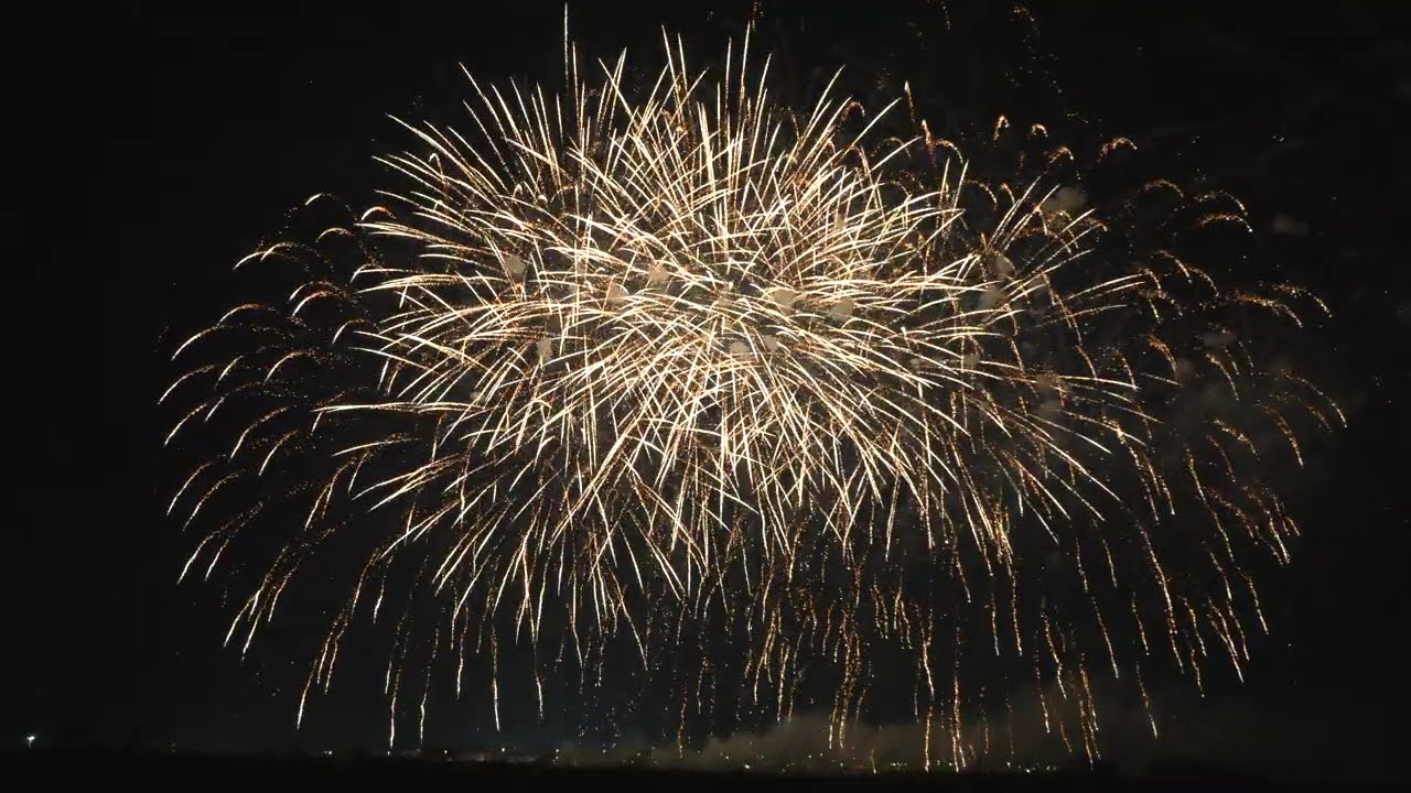 Adelfia 10 Novembre 2025 Festeggiamenti San Trifone e Spettacolo LA ROSA INTERNATIONAL FOREWORKS 4K