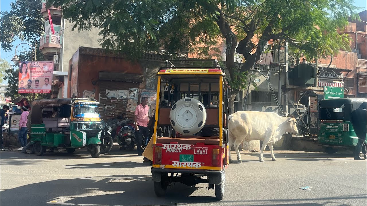 POKRAČOVÁNÍ Z INDIE 🇮🇳 | krokodýlí safari a realita cestování