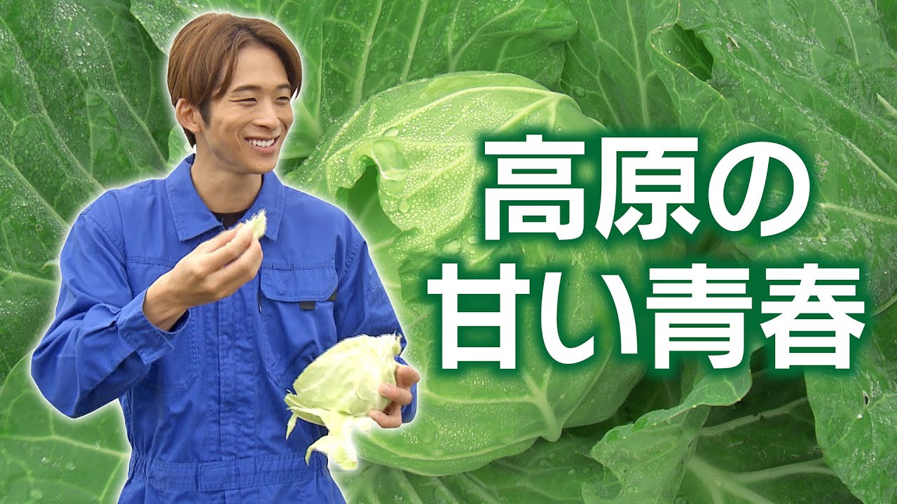 【澤夏ビックリ‼︎】キャベツ料理にこんなレパートリーが！？