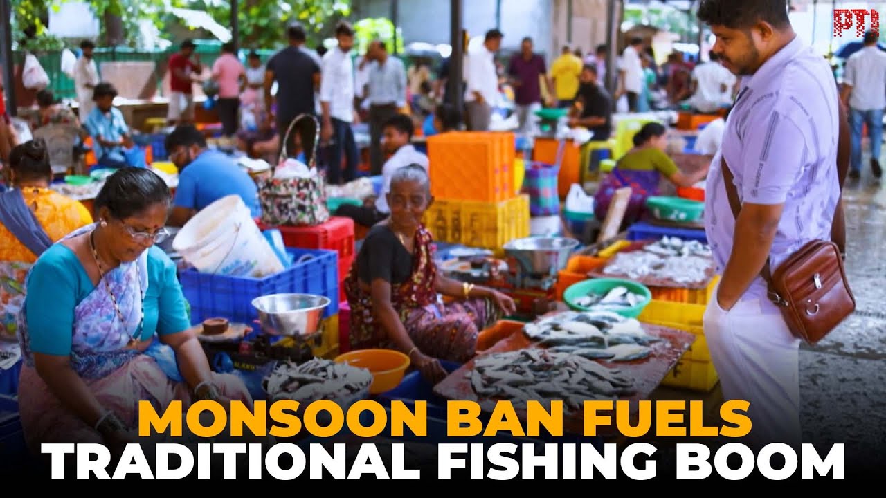 Goa enforces monsoon mechanized fishing ban to boost traditional fishermen