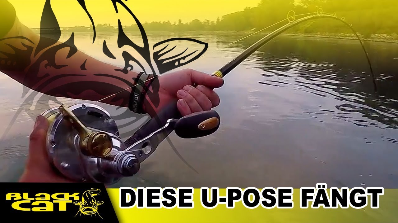 Lightning U-Pose weiterhin auf Fangkurs - Haunzz auf Tour