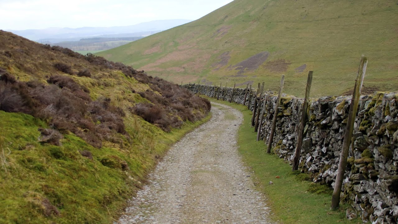 The Well Path Circuit