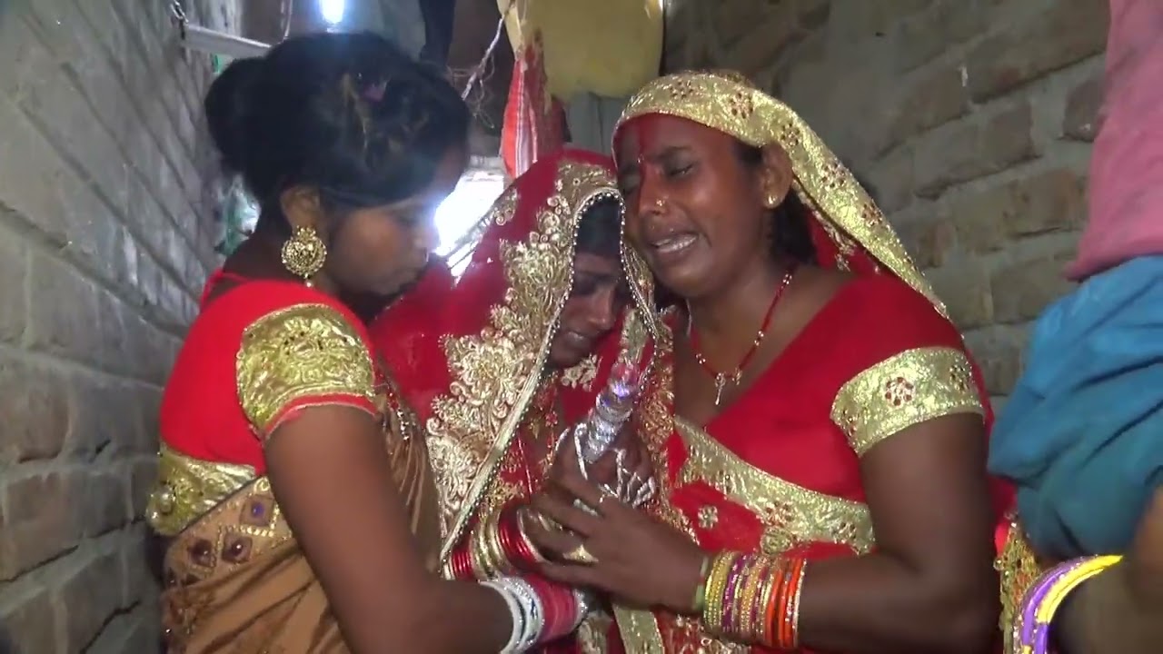  Indian village wedding video vlog 2026 | Aadiwashi Village Viwah Shadi Vlog | #vlog | ##vlogvideo 