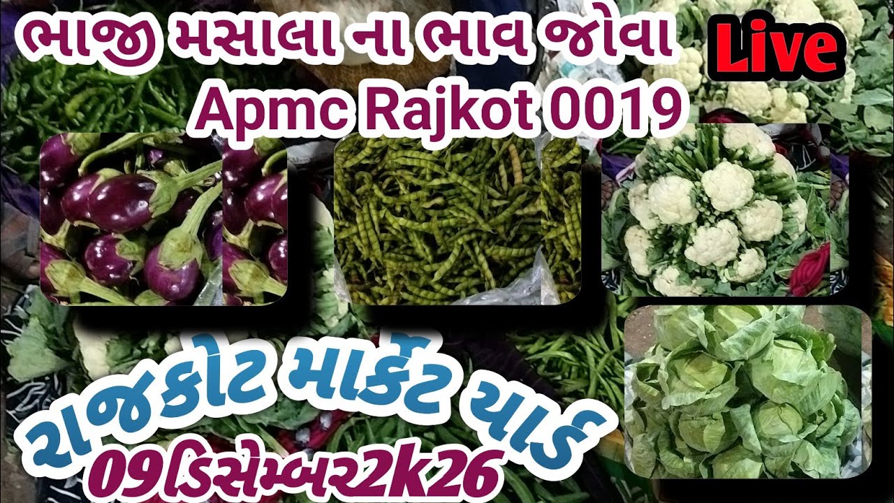 Rajkot market 09/01/2026 લીલા શાકભાજીના ભાવ 