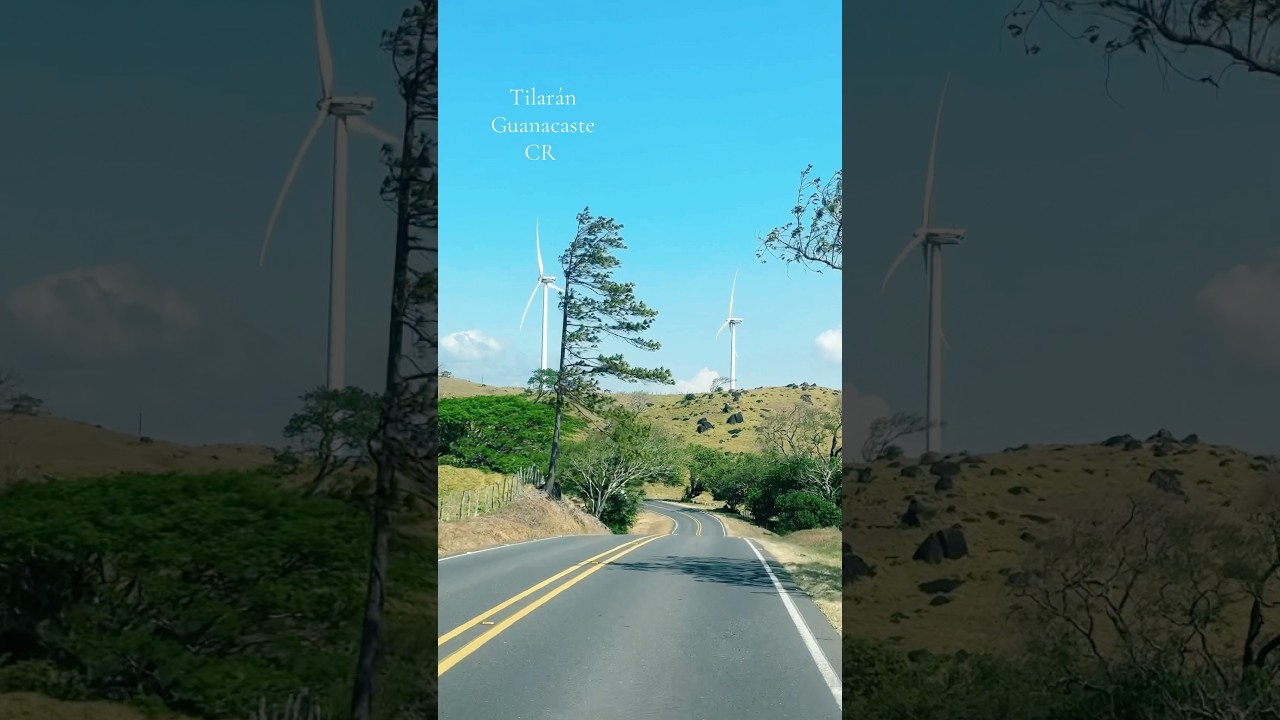 Tilar&aacute;n Guanacaste