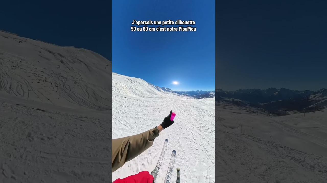 SI TRISTE 😵&zwj;💫 #ski #skiing #snow #pioupiou #neige #skieurs #glisse