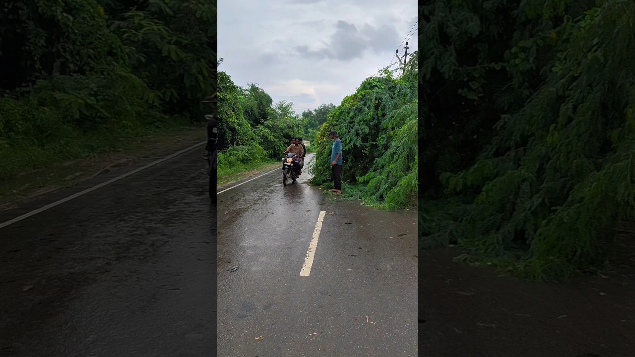 || Road safety work 🛣️ || #ytshorts #socialwark #helping