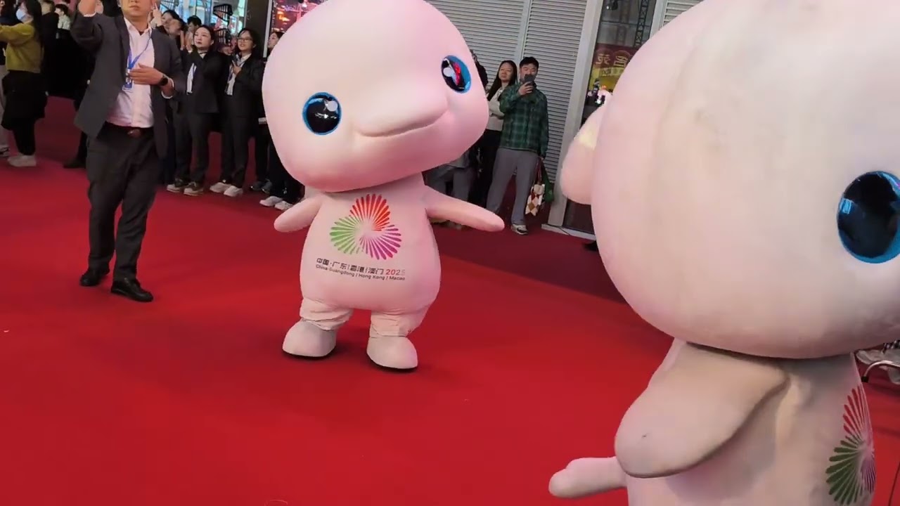 一群大湾鸡迎面而来相当震撼 看准镜头 时不时会偷亲你哦