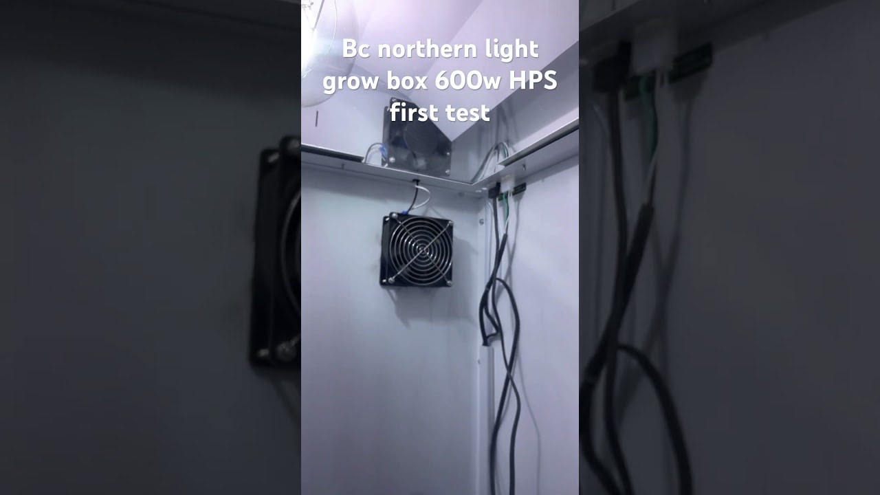 Bc northern lights grow box test 600w HPS review 💚