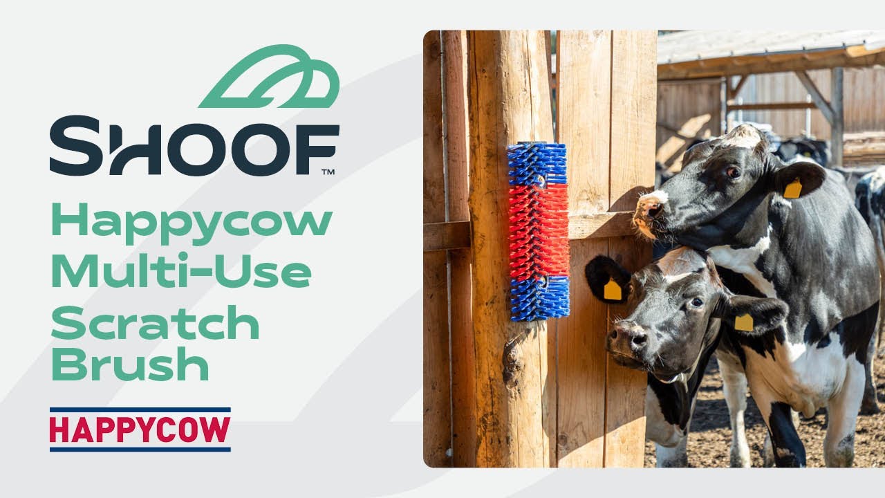 Happycow Multi-Use Scratch Brush