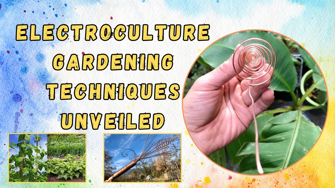 Electroculture Gardening Techniques Unveiled