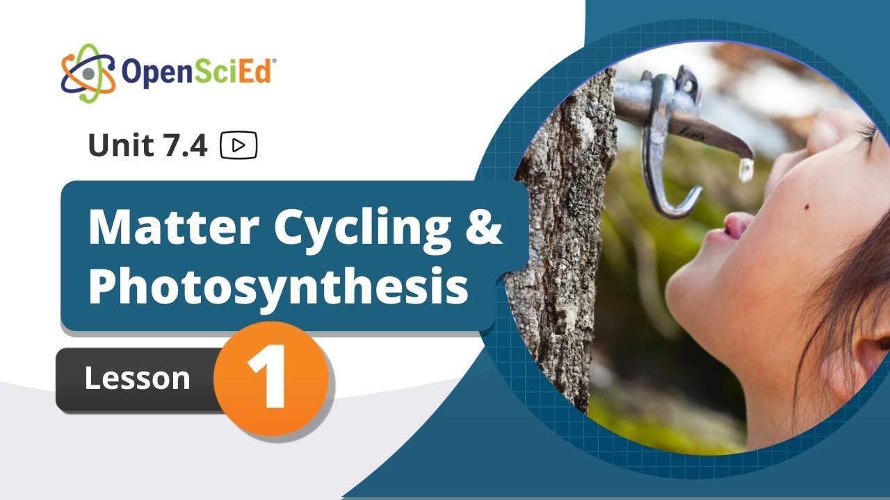 Unit 7.4 Lesson 1 Planning Video | OpenSciEd On-Demand Resources