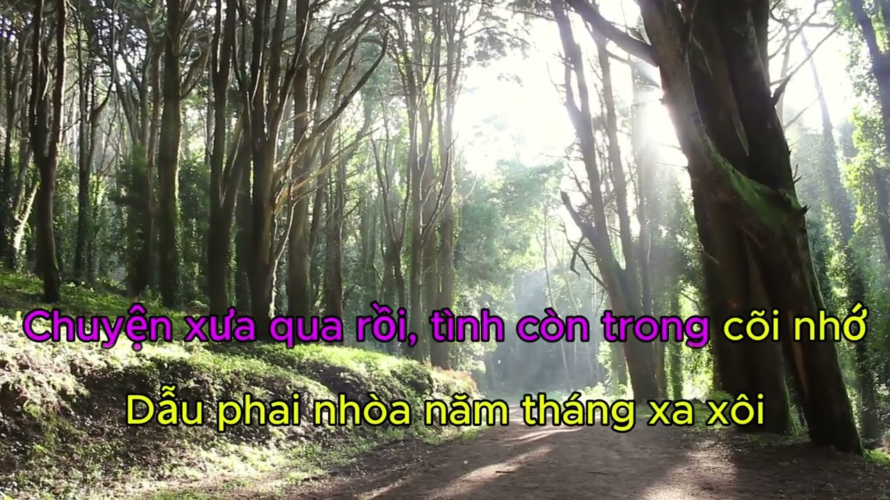 TÌNH TRONG CÕI NHỚ  DEMO