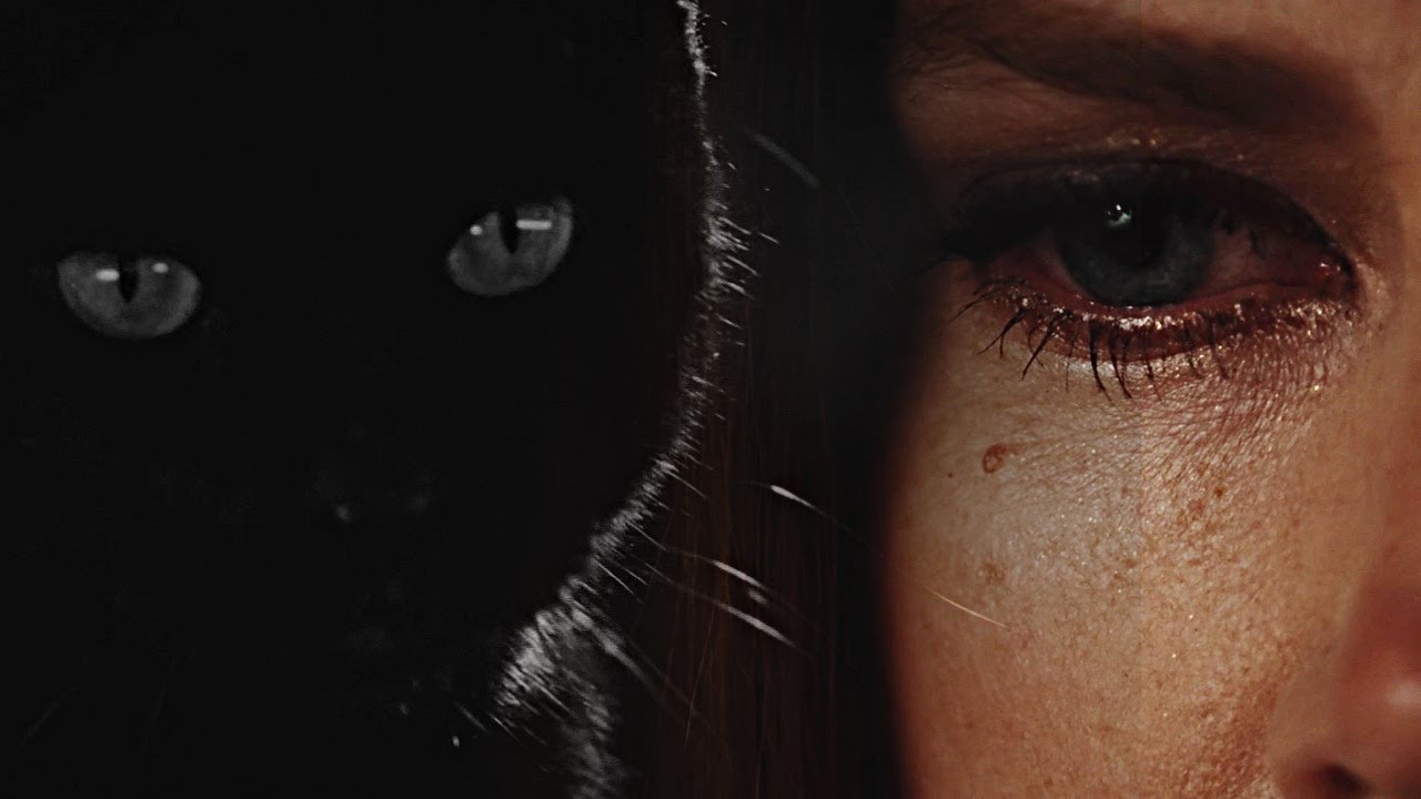 Poison Ivy and Catwoman | I'm not as lost as you think