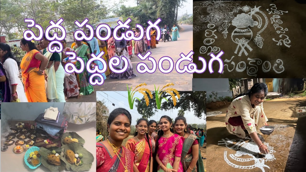 సంప్రదాయబద్ధంగా జరుపుకున్న మా ఇంటి సంక్రాంతి పండుగ | Sankranti festival celebrations in my village