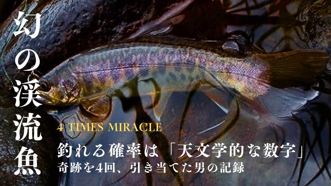 渓流の神様も夢で終わった…天文学的確率を「4匹」釣った奇跡の記録【渓流釣り】