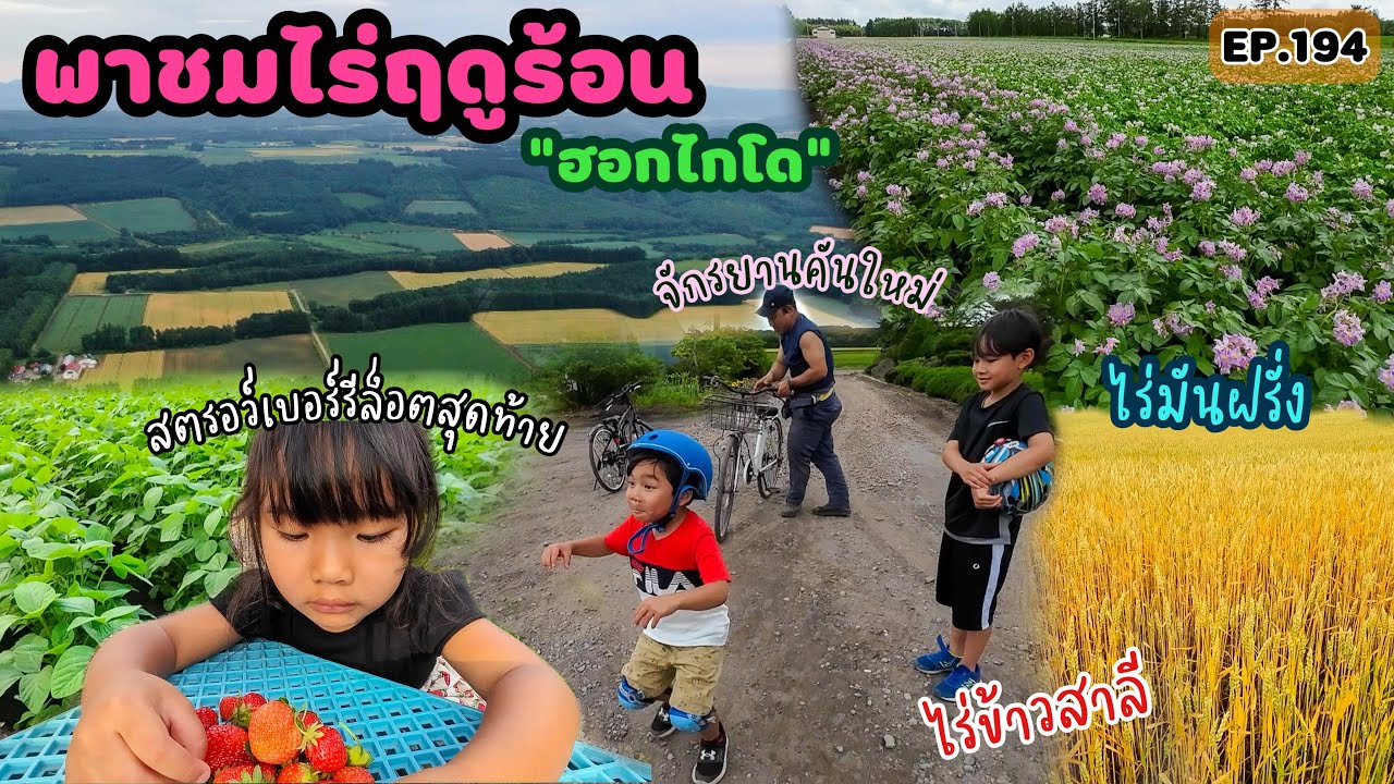 EP.194 | แม่บ้านญี่ปุ่นพาชมไร่ช่วงฤดูร้อน เพลิดเพลินไปกับพืชผักหลากชนิด กับบรรยากาศอันแสนสดชื่น