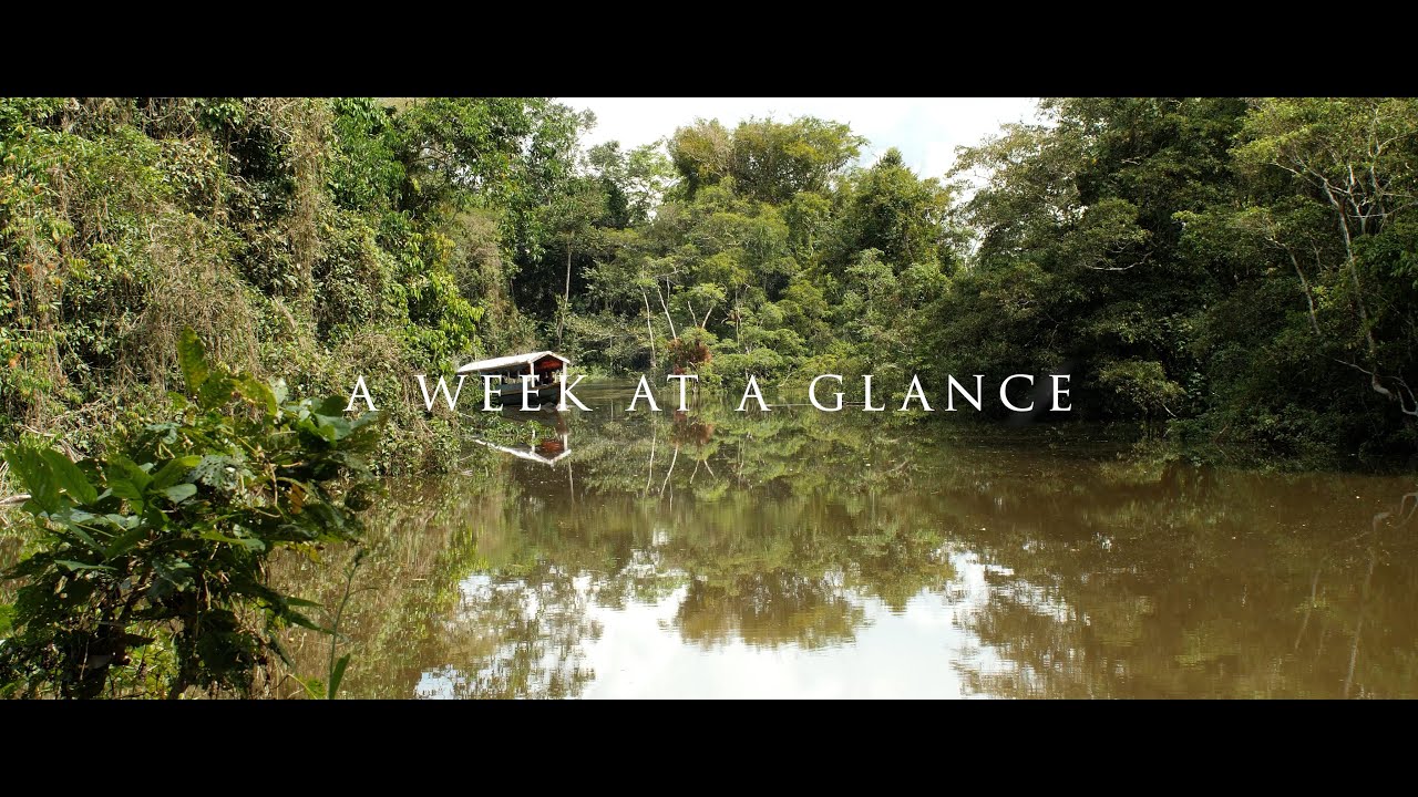 Ayahuasca Center in Peru - Info Video
