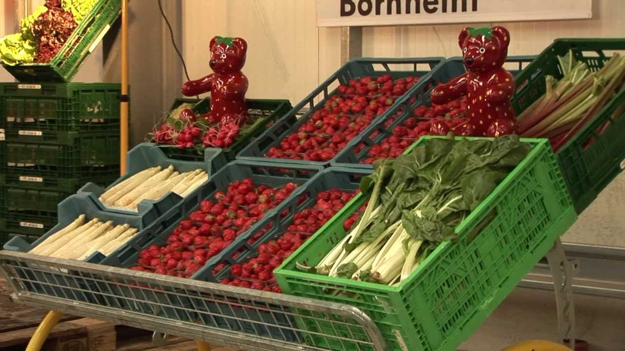 Bundeslandwirtschaftsministerin im Vorgebirge