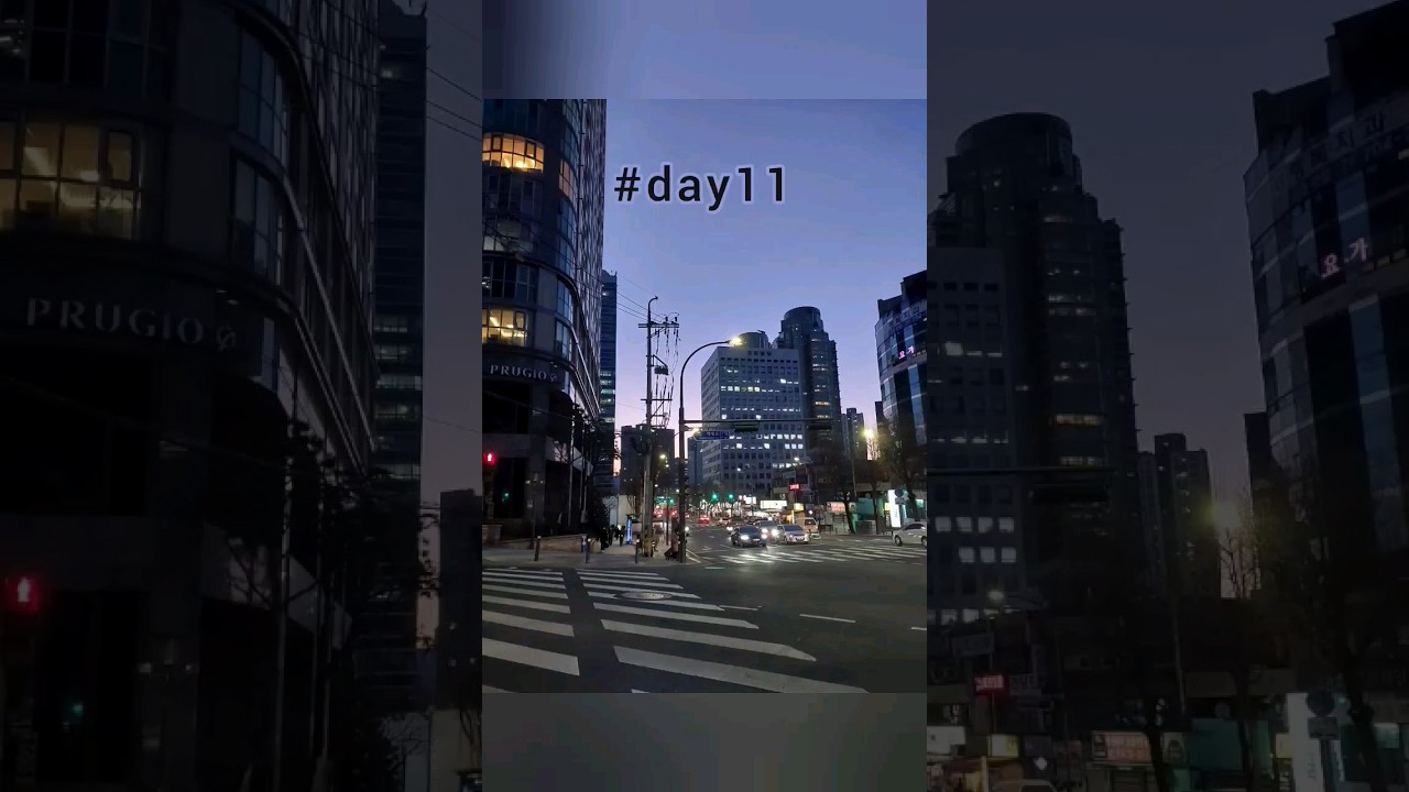 #day11