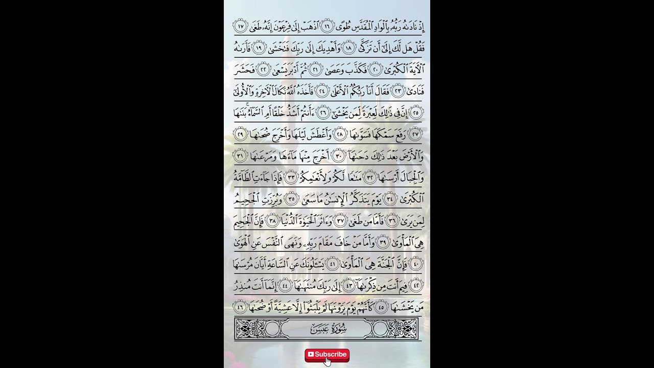 تلاوة القرآن - QURAN RECITATION