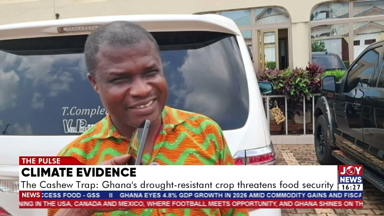 Climate evidence: The Cashew Trap; Ghana's drought-resistant crop threatens food security. #JoyNews