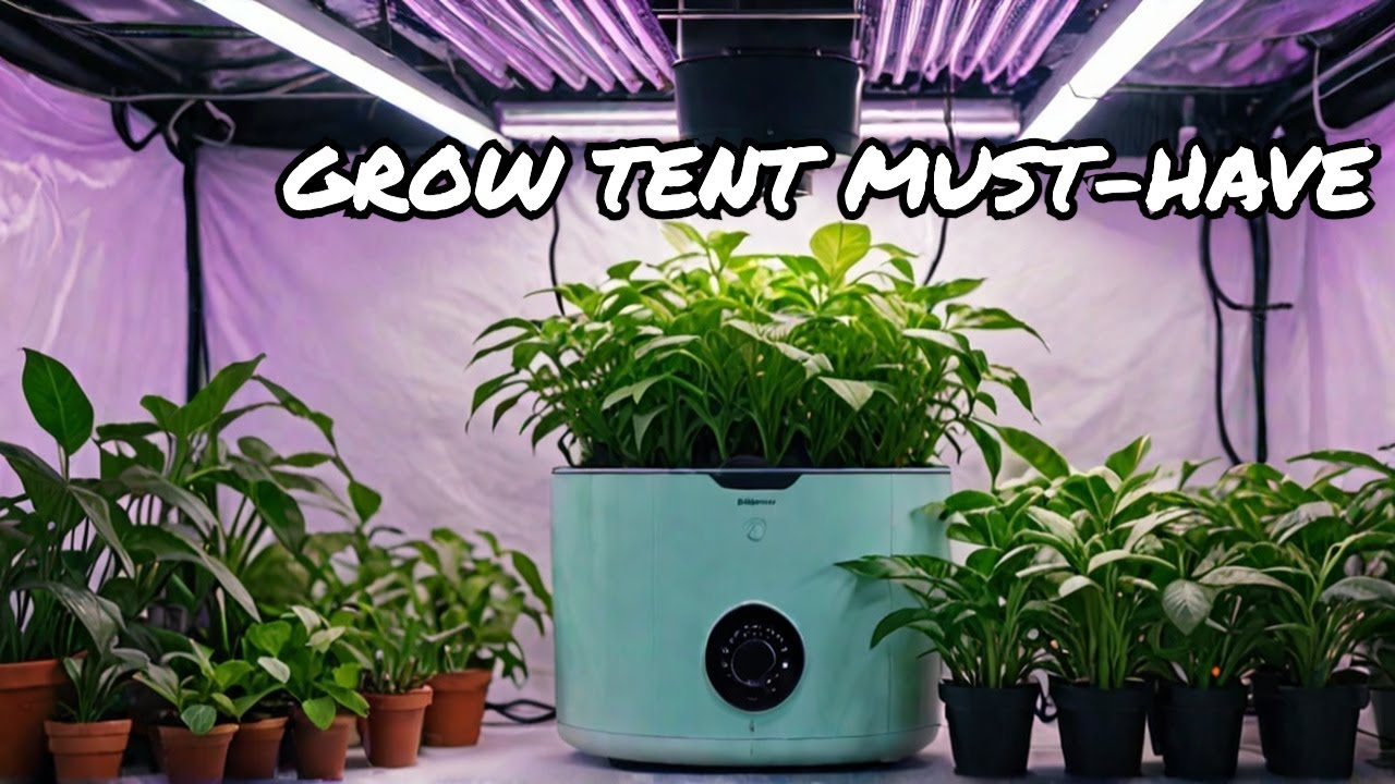 Is this the Best HUMIDIFIER for Grow Tents? Spider Farmer UltraSonic Humidifier!