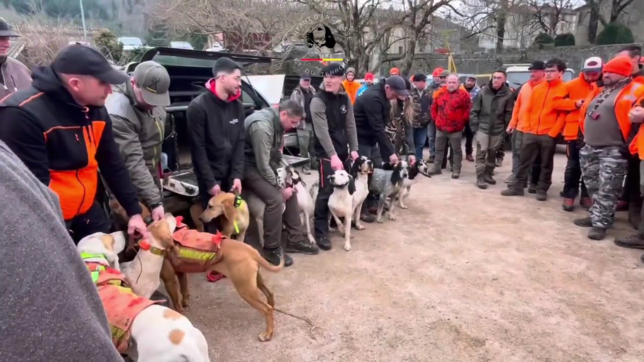 CONCOURS DE MEUTE SANGLIER DÉPARTEMENTAL À LA RÉGIONAL