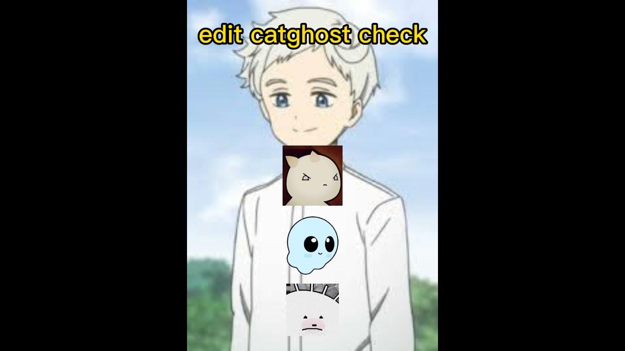 edit catghost atualizada