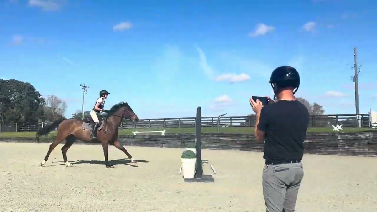 Jan 2026 — Schooling away from home on unfamiliar horse