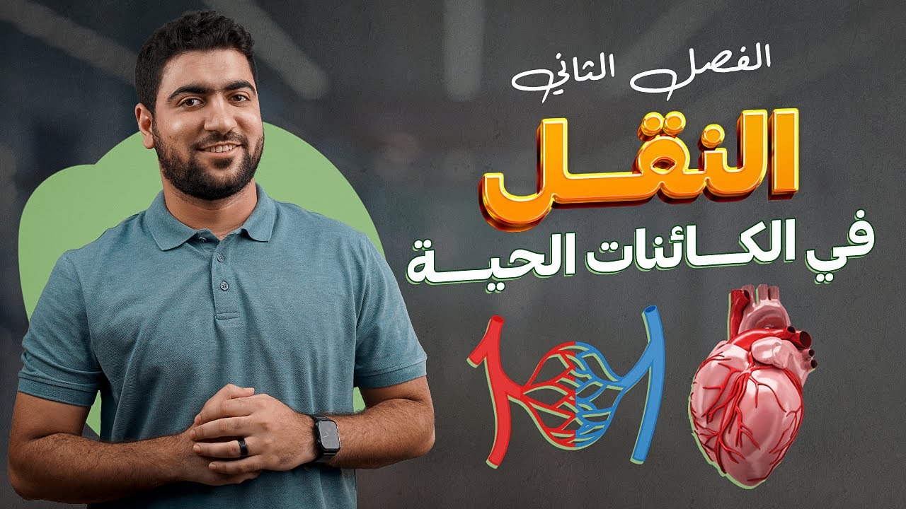 النقل في الإنسان 1 - القلب والأوعية الدموية 🩸💟 تانية ثانوي أحياء